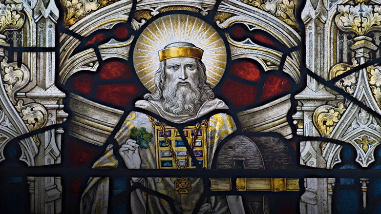 Saint Patrick, esclave et protecteur de l'Irlande still 2