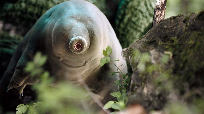 Tiny and Tough - The Incredible Resilience of Tardigrades still 4