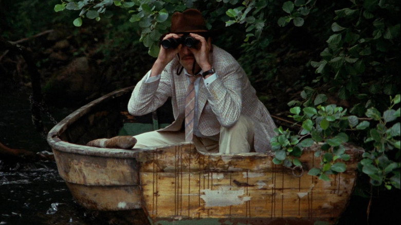 The Rooster still 2