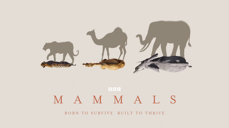 Mammals still 8