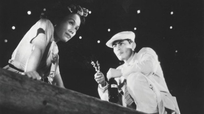 Stray Dog still 7