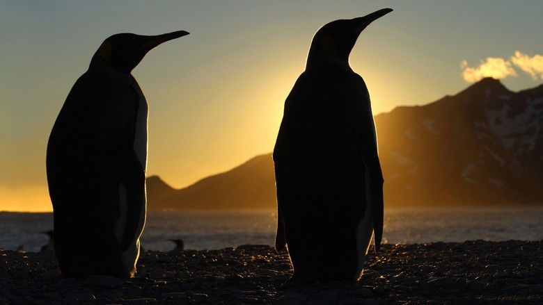 Frozen Planet still 3
