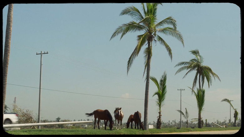 Carrizos still 1