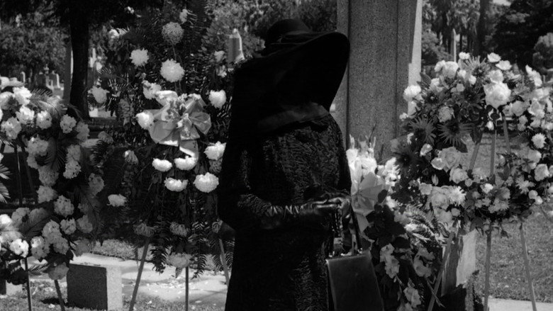 Dead Ringer still 7