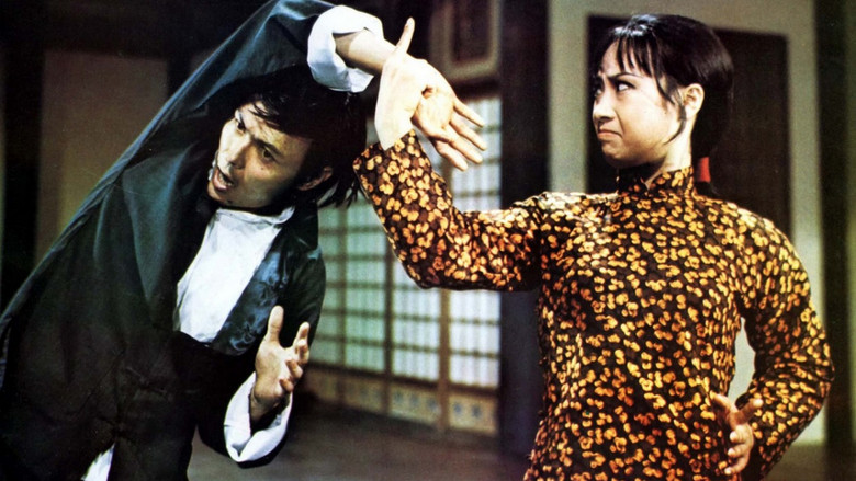 Hapkido still 5
