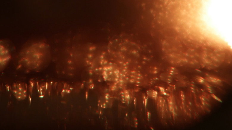 Dreamality still 3