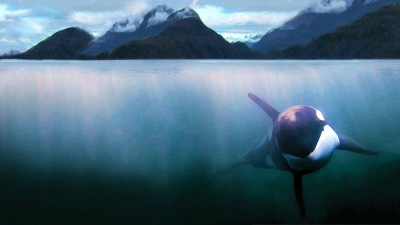 The Whale still 3