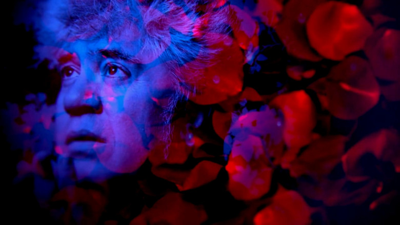 Almodóvar, todo sobre ellas still 2