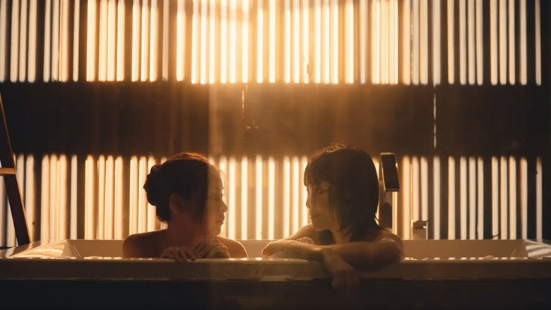 Shades still 7