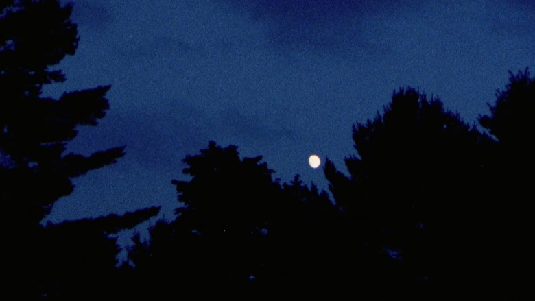 Pilgrim, Farewell still 8
