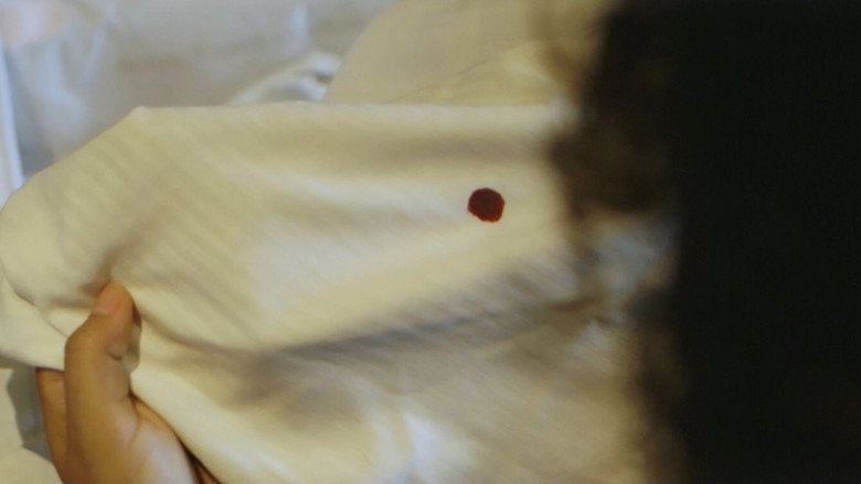 Dedication still 5